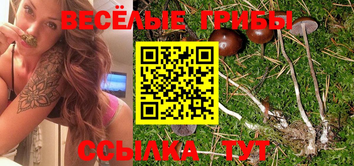 Галлюциногенные грибы MAGIC MUSHROOMS  Вход с VPN  купить  сайты  Анапа  Галлюциногенные грибы мухоморы 