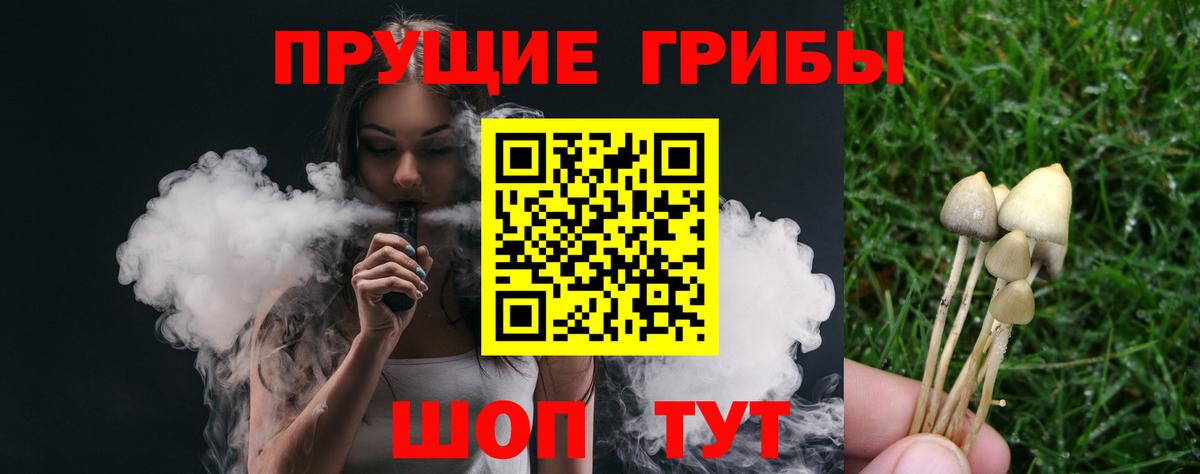Псилоцибиновые грибы прущие грибы Анапа